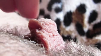 extreme close up clitoris