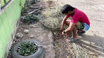 I fuck the guy who cleans the sidewalks, he's young, his muscular body excites me