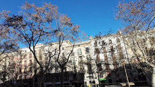Rimming in the Middle of Barcelona Tourist Street La Rambla
